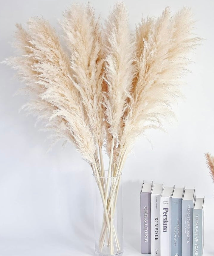 40" Natural Pampas Grass